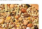 Pet Food