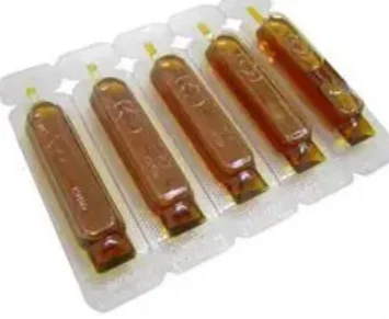 Ketchup Sauces